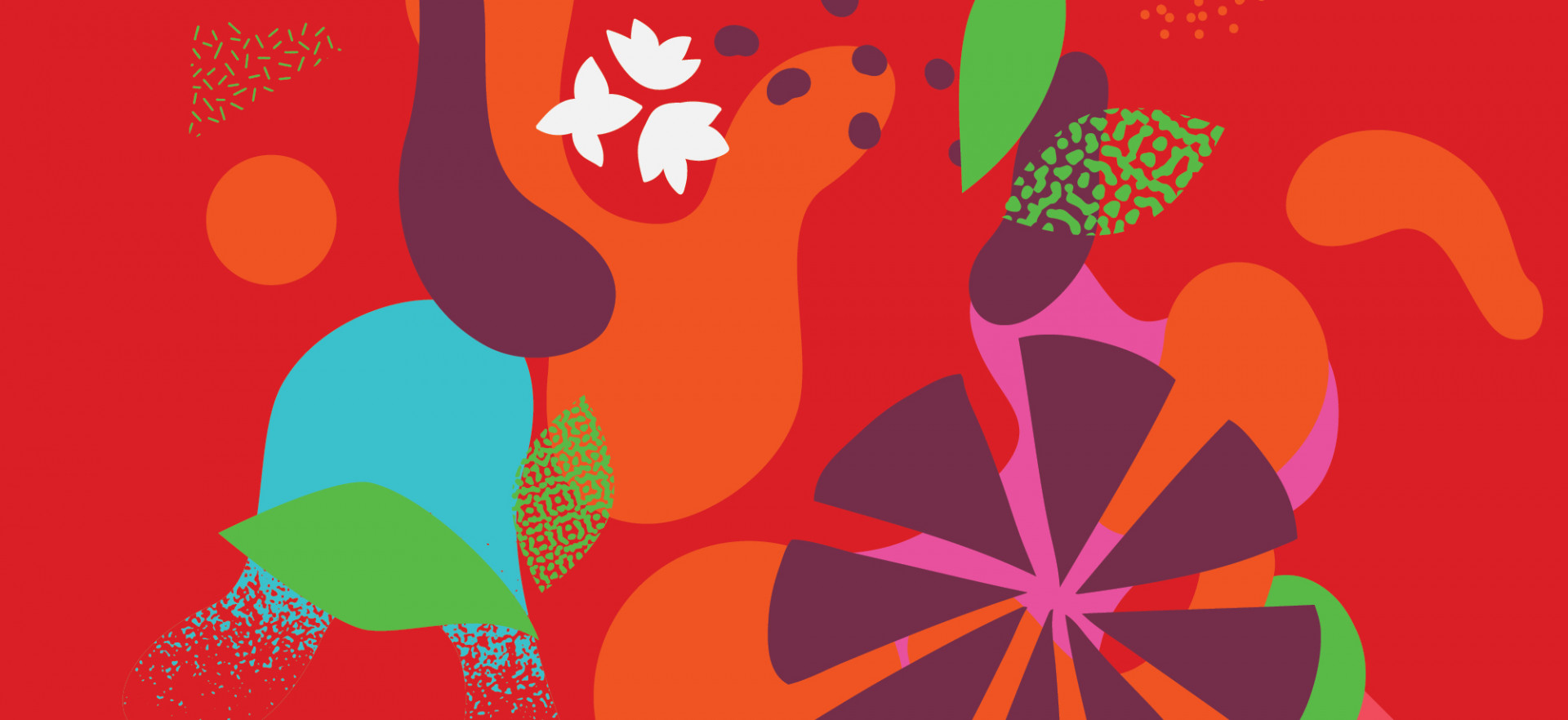 Even more Illustration