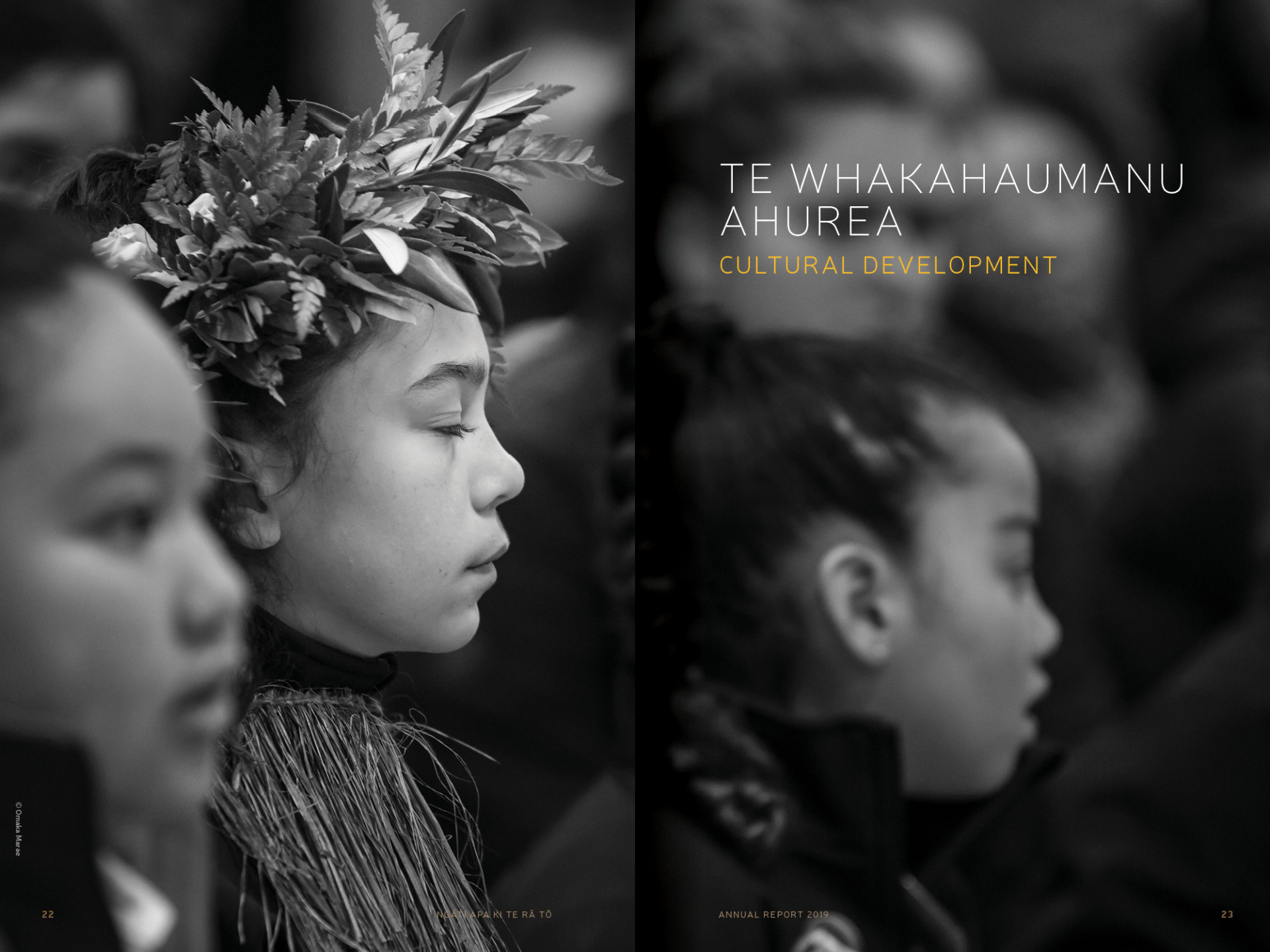 Ngāti Apa ki te Rā Tō