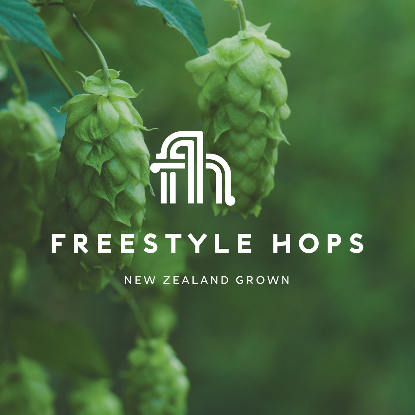 Freestyle Hops