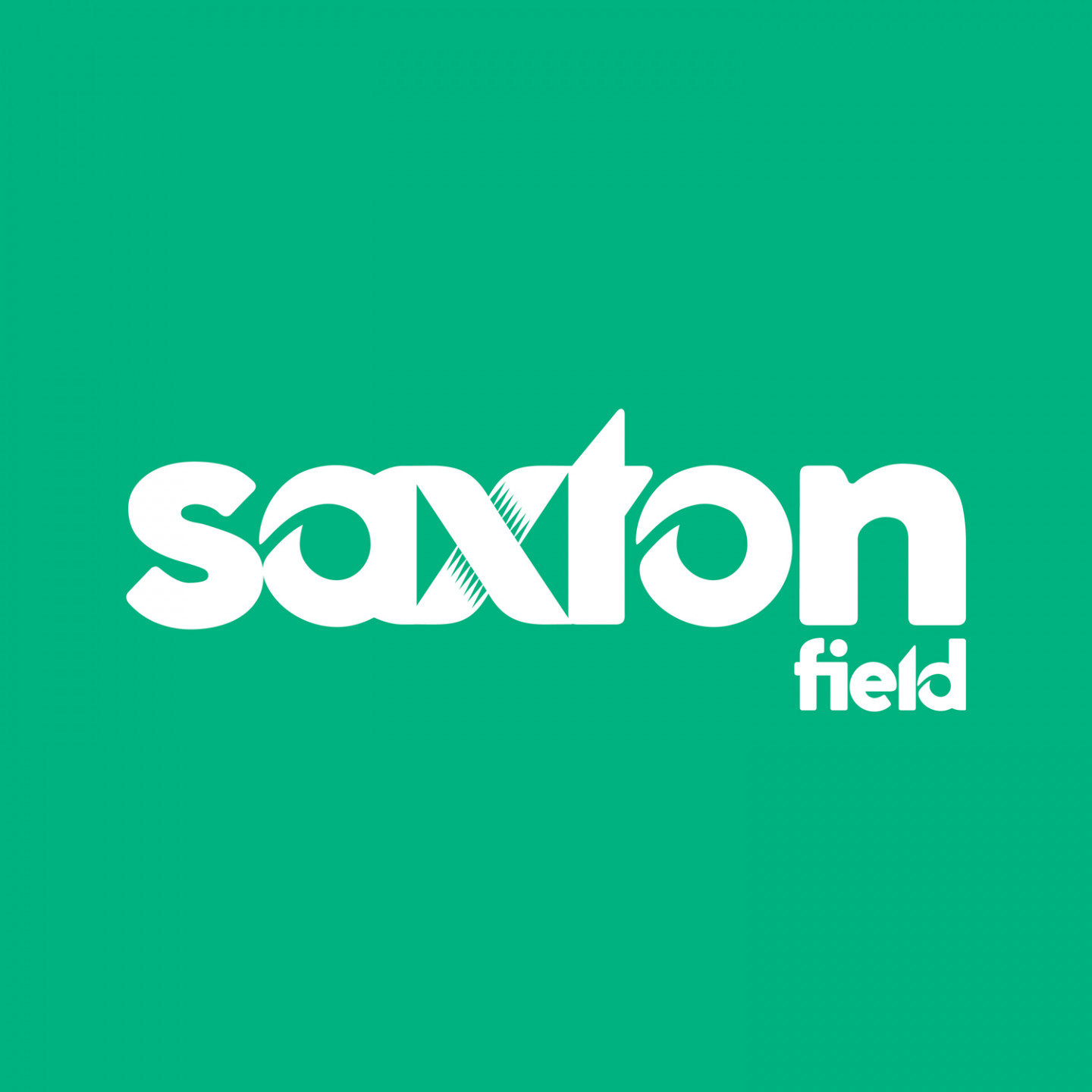 Saxton Field