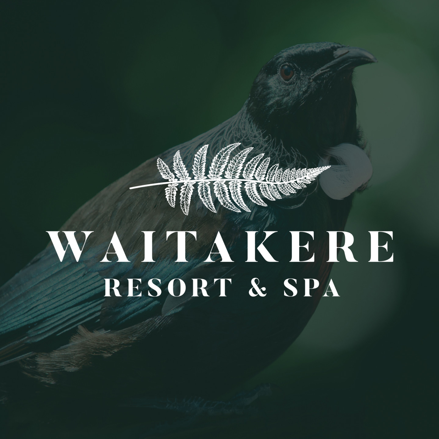 Waitakere