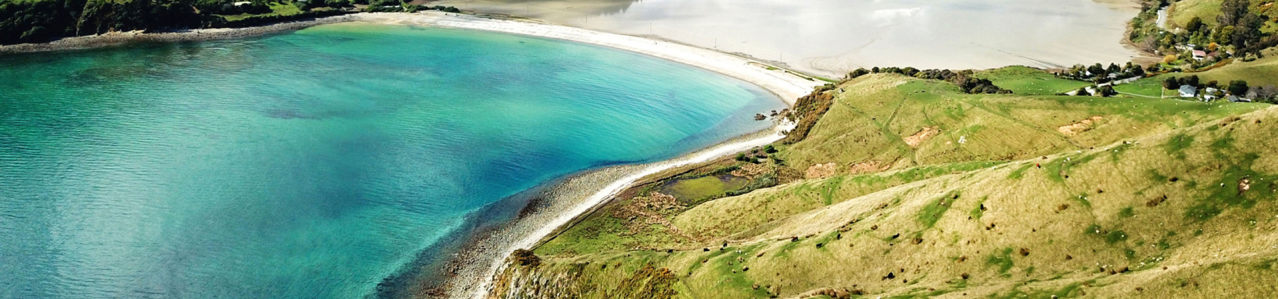 nelson tasman2